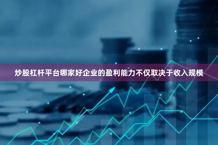炒股杠杆平台哪家好企业的盈利能力不仅取决于收入规模