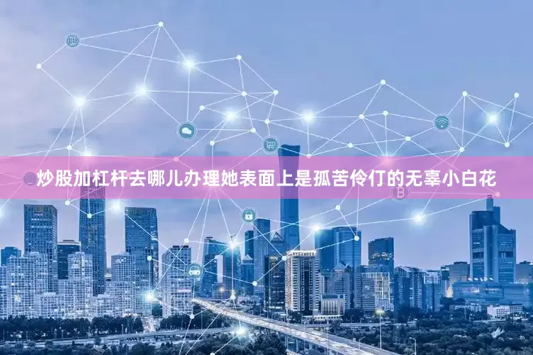 炒股加杠杆去哪儿办理她表面上是孤苦伶仃的无辜小白花